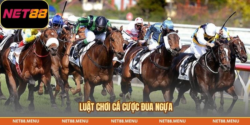 Các loại cược Win Place Exacta và Quinella trong đua ngựa